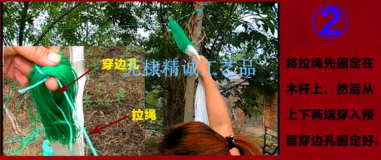 爬藤網