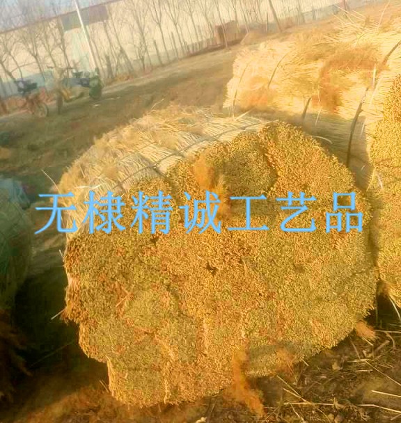 蘆葦捆