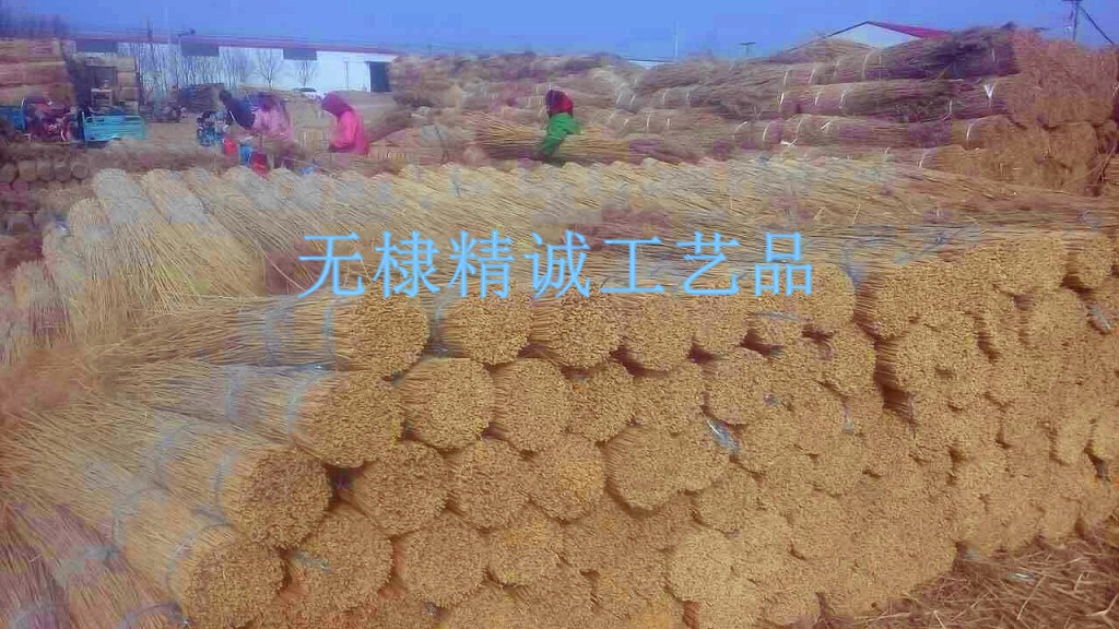 蘆葦捆