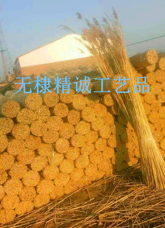 蘆葦捆