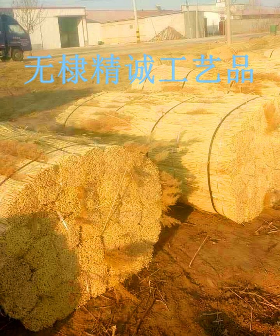 蘆葦捆