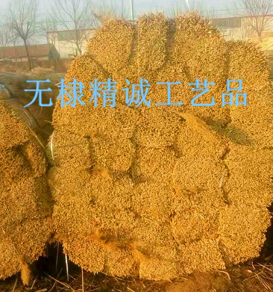 蘆葦捆