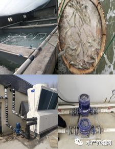 成本節(jié)省一半！沈陽(yáng)海爾中央空調(diào)為室內(nèi)養(yǎng)殖業(yè)插上“高利潤(rùn)”翅膀